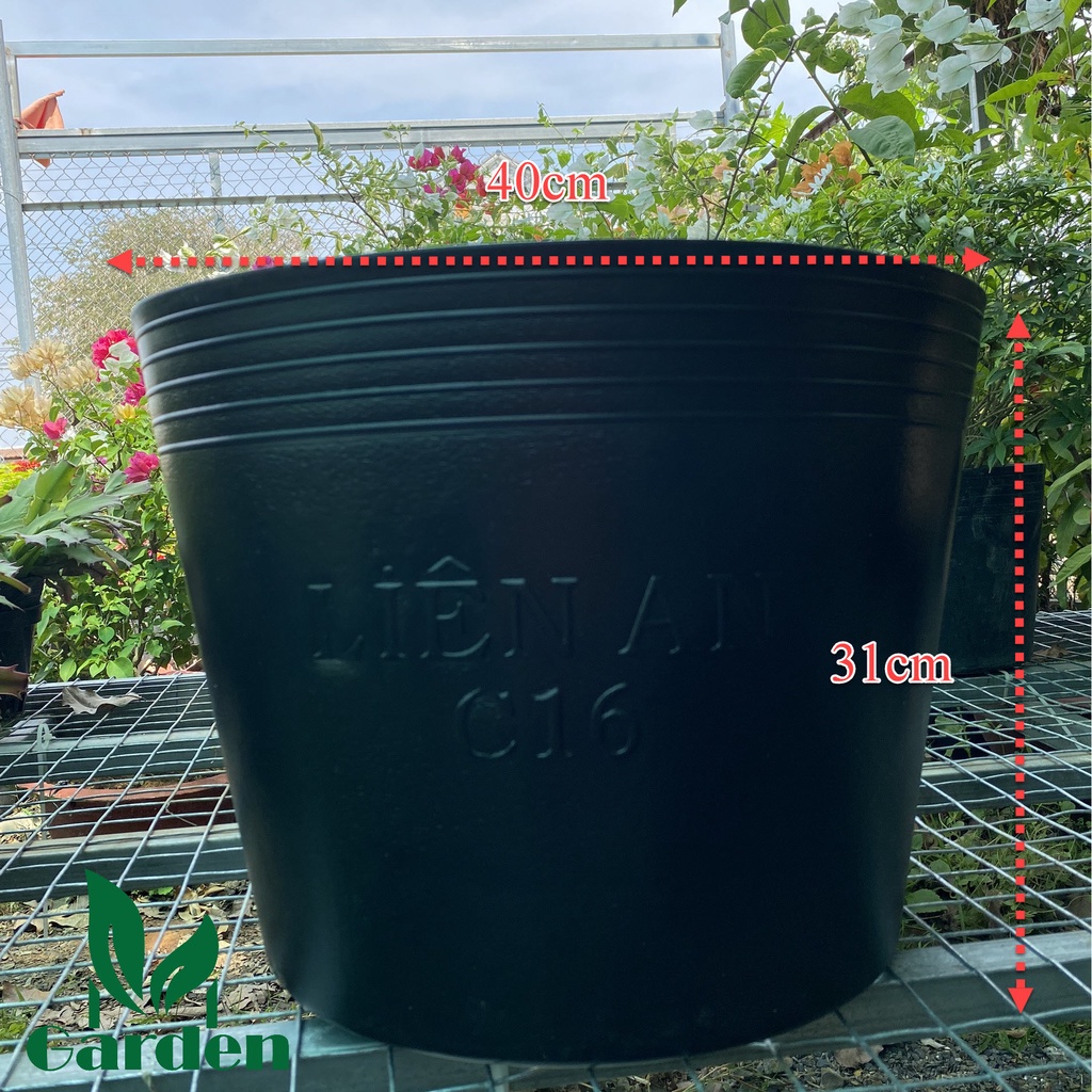 Chậu nhựa đen dẻo trồng và ươm cây C16  - Liên An