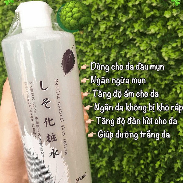 Nước hoa hồng Diếp Cá, Tía Tô Dokudam Natural Skin Lotion (500ml)