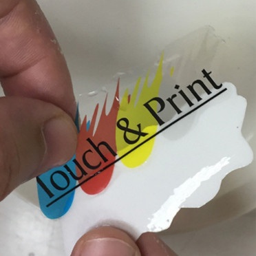 DECAL NƯỚC ĐẾ TRONG