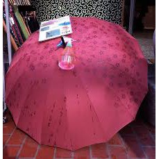 Ô gặp nước ở hoa