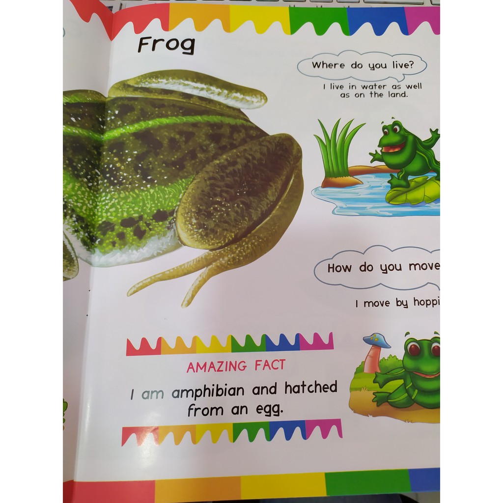 Sách - My First Questions & Answers - Reptiles & Amphibians - 8935072923242 | BigBuy360 - bigbuy360.vn