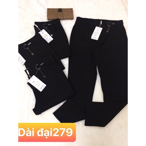 Quần Tây Thun Nữ Thời Trang Đủ Size