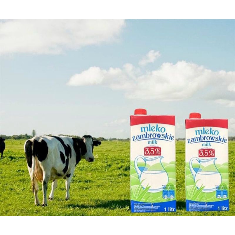 Sữa tươi Nguyên Kem Ba Lan Mleko date 07/2024