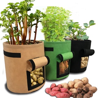 Túi trồng khoai tây, khoai lang, cà rốt chuyên dụng (Mori King-11)