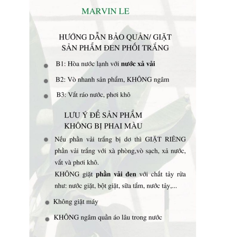 Áo kiểu Ka top