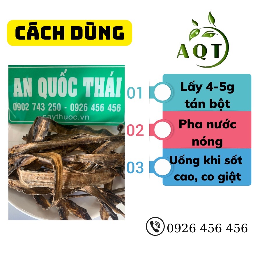Địa Long 100g [Loại 1] Khô, Sạch, Không Tạp Chất, Hỗ Trợ Động Kinh, Co Giật, Giúp Hạ Sốt