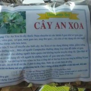 1kg Cây an xoa - trị gan