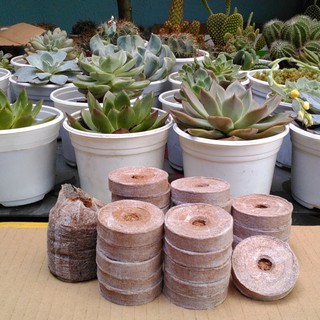 5 viên nén sơ dừa ươm hạt giống - hư 1 đổi 1