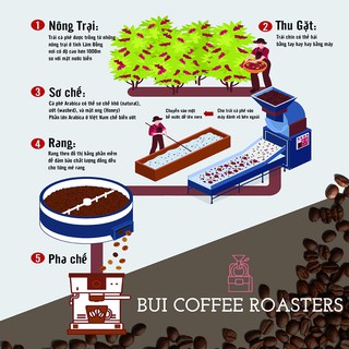 Cà Phê Arabica 100g (Túi Giới Thiệu Dạng Hạt Hoặc Bột)