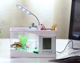 Hồ cá phong thủy có đèn led.