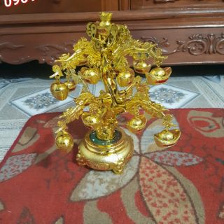 Cây Thỏi Vàng (Quay bé) - Cành Vàng Lá Ngọc