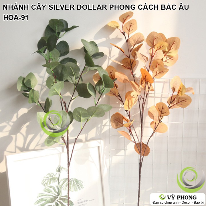 CÀNH LÁ CÂY SILVER DOLLAR PHONG CÁCH BẮC ÂU TRANG TRÍ ĐẠO CỤ CHỤP ẢNH SẢN PHẨM INS HOA-91