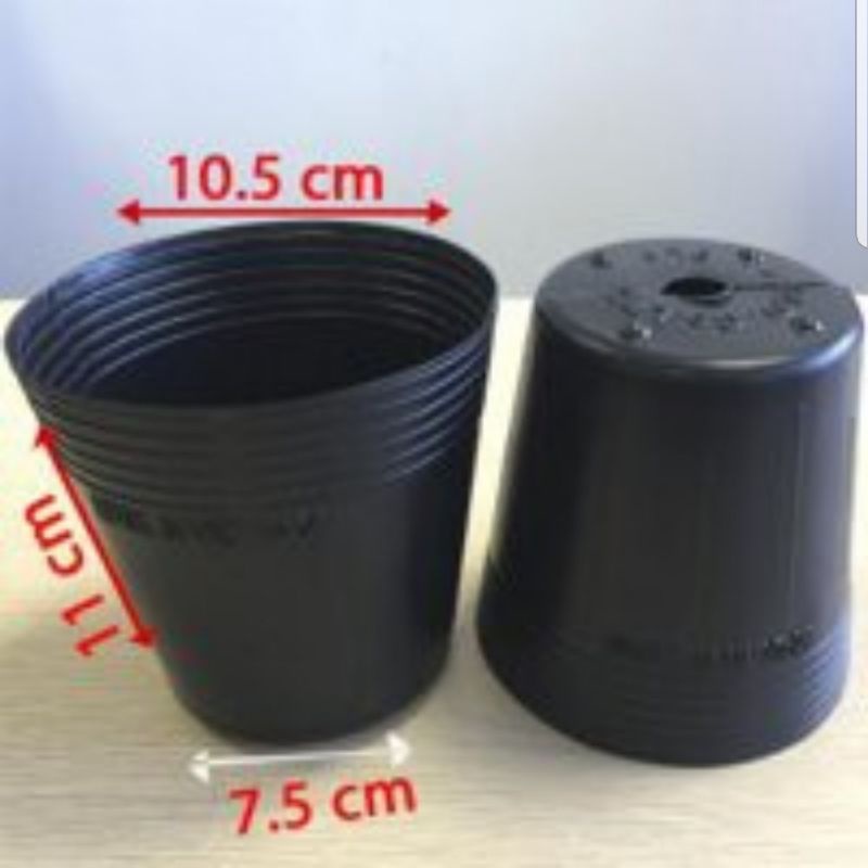10 chậu nhựa ươm cây C5 kích thước 10x10