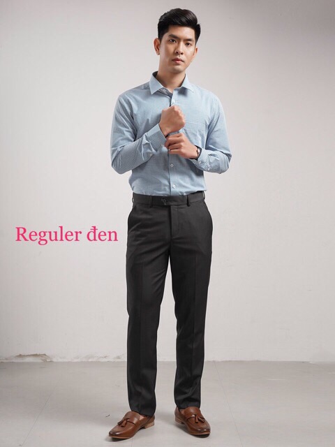 Quần Âu Quần Tây ARISTINO - ATR00208 Reguler - Đen +  Xam + Tím Than 29/31/32