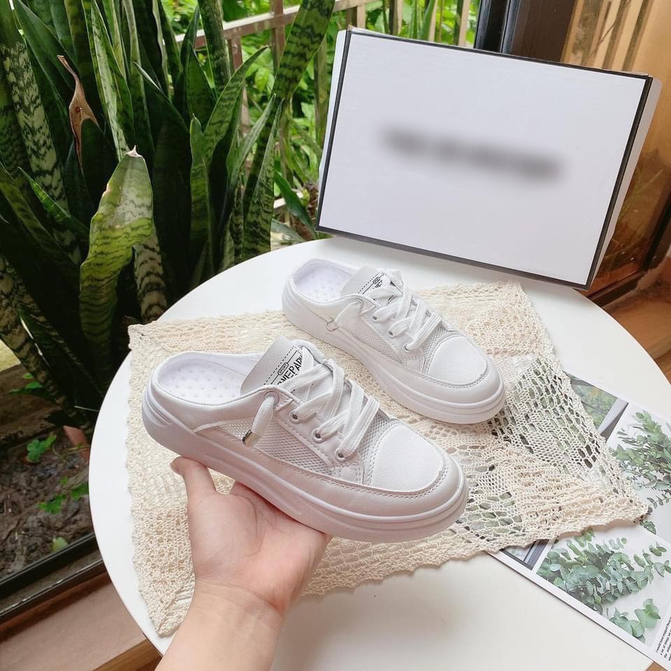 Giày Suc Lưới Thời Trang