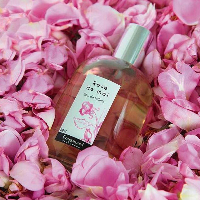 20ml 𝗥𝗼𝘀𝗲 𝗱𝗲 𝗺𝗮𝗶 𝗲𝗱𝘁  nước hoa nữ note hương hoa hồng quyến rũ | lale perfume