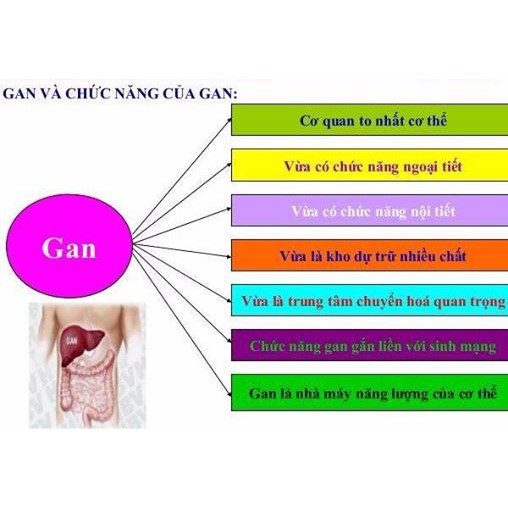 Nước Bổ gan giải rượu Hàn Quốc 30 gói x 70ml