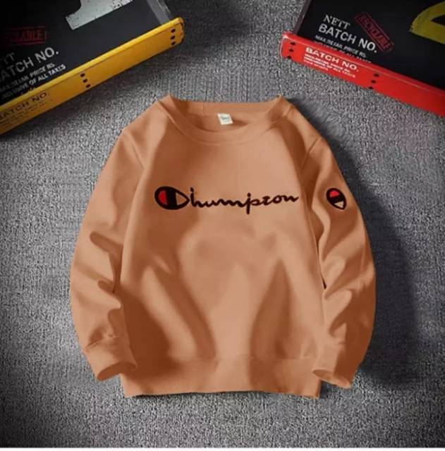 Áo Sweater Tay Dài In Chữ Champion Thời Trang Cho Nam