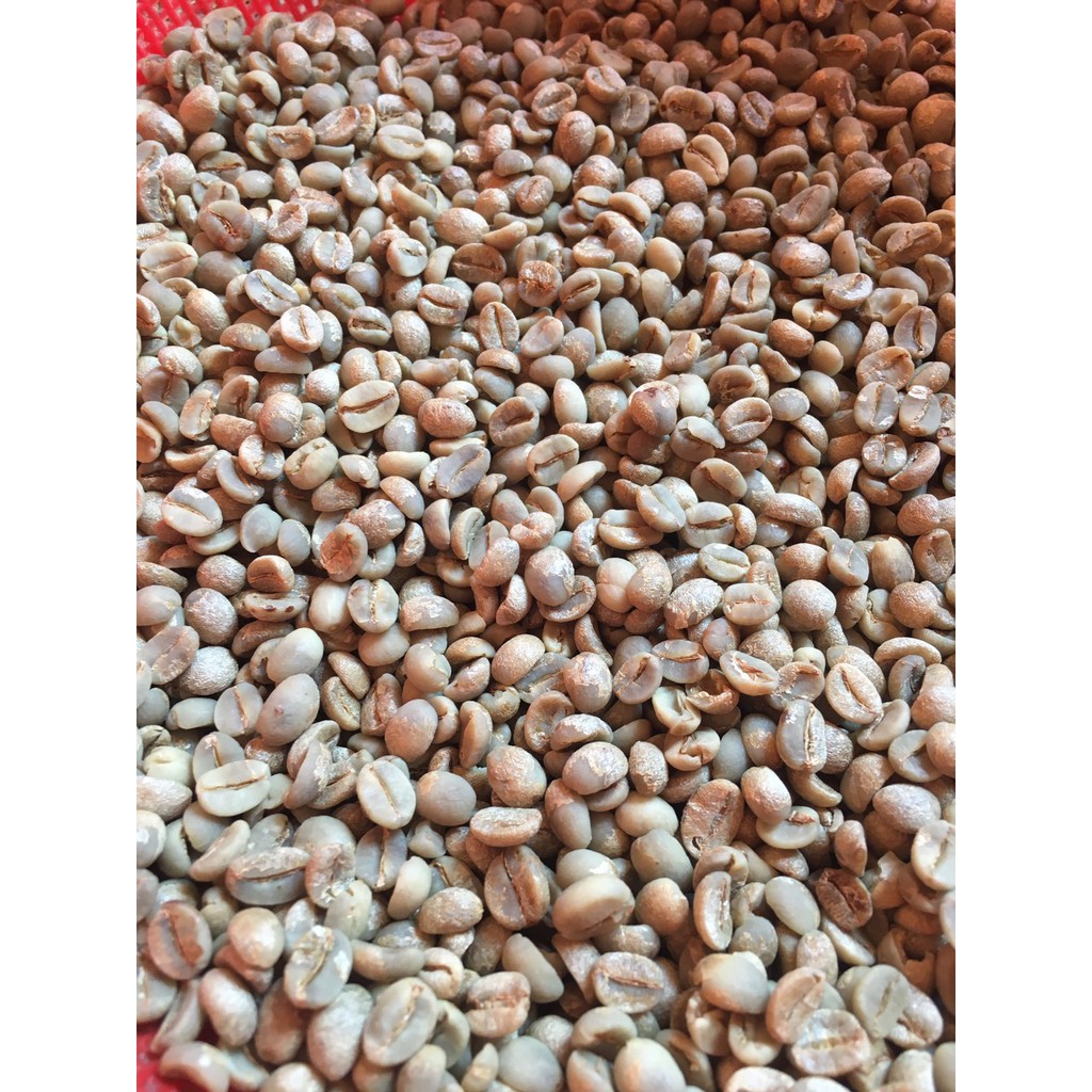 Cà phê nhân xanh hạt chưa rang arabica sơn la 1kg