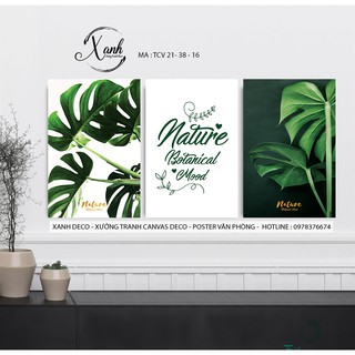 Bộ 3 tranh canvas lá cây nature hiện đại tặng đinh treo tranh