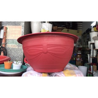 chậu nhựa truyền thống in nơ nổi size 58cm x 30cm