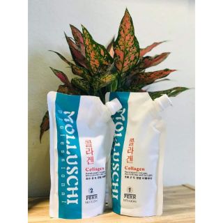 THUỐC UỐN LẠNH MOLLUSCHI 500ml×2túi