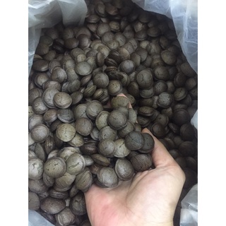 Hạt sachi rang chín ăn liền 500g