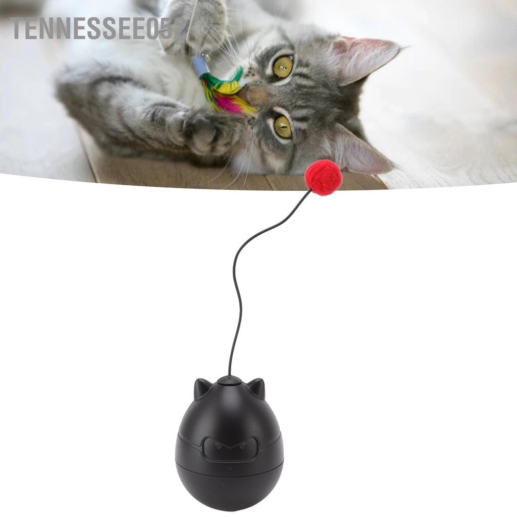 Tennessee052 Đồ chơi xích đu cho mèo Tương tác Điện tiêu thụ điện năng thấp Bảo vệ môi trường Quả bóng thú cưng vui nhộn với hai quả màu