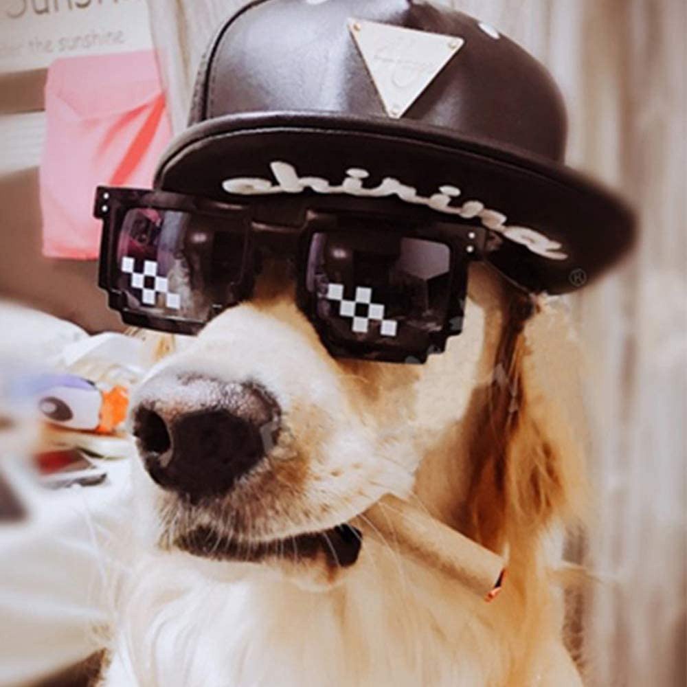 Kính Mát Thug Life Vui Nhộn Dành Cho Hóa Trang