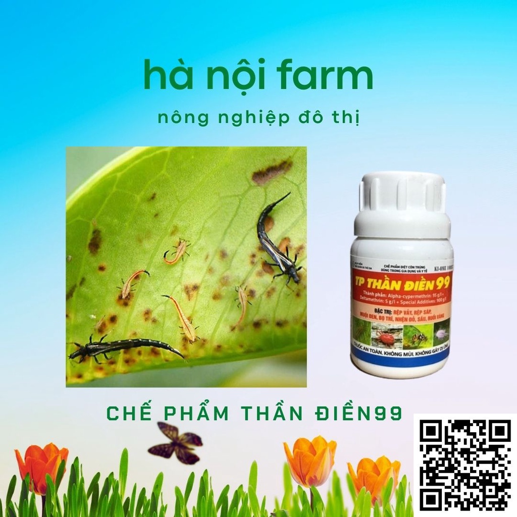 Chế phẩm diệt côn trùng, bọ vẩy, bọ trĩ, rệp sáp THẦN ĐIỀN 99
