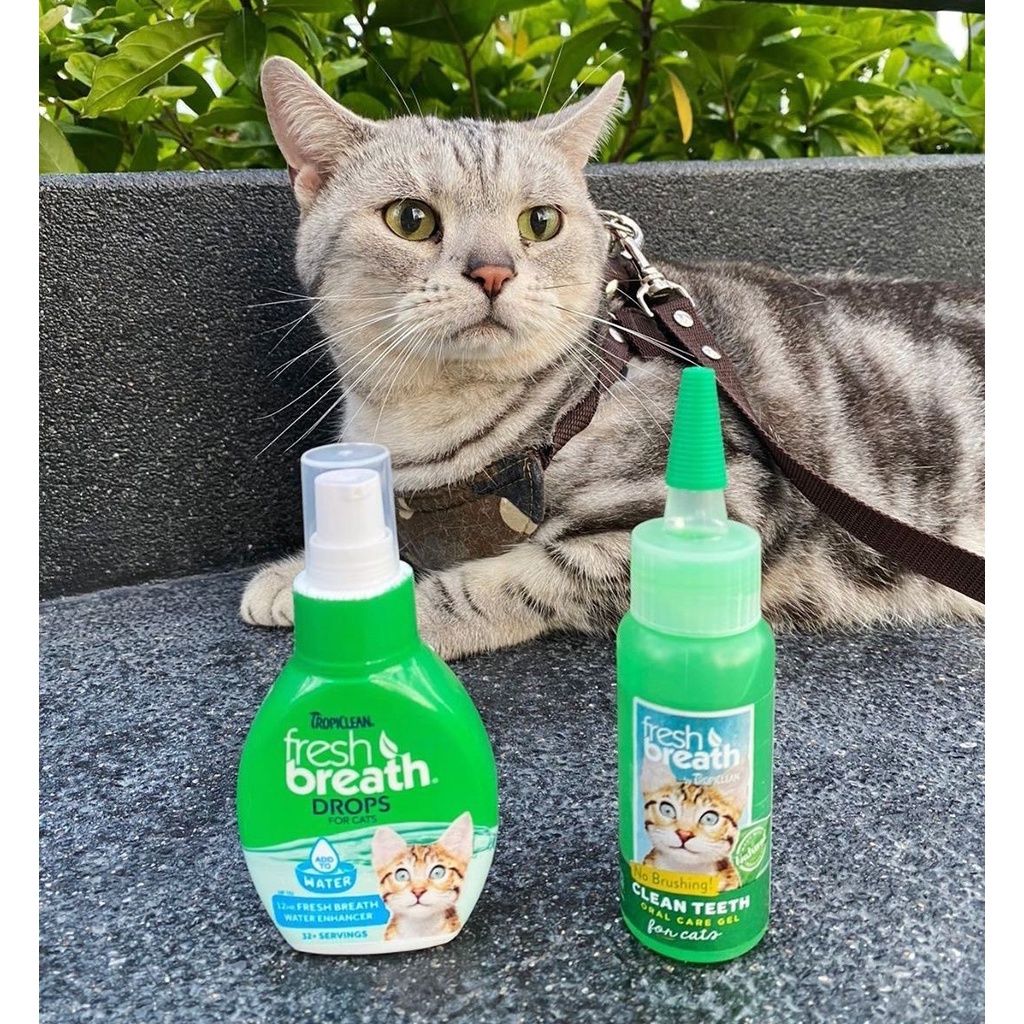 Nước Uống Vệ Sinh Trị Hôi Miệng và Ngăn Ngừa Cao Răng Mảng Bám Cho Chó Mèo dạng đậm đặc 65ml - Tropiclean