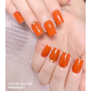 set sơn gel 6 màu kody