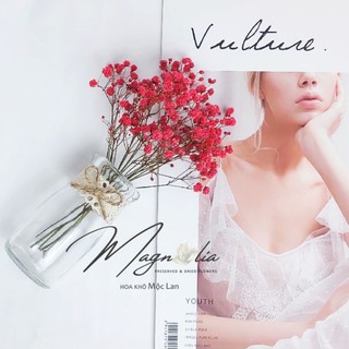 Lọ cắm hoa thủy tinh mini