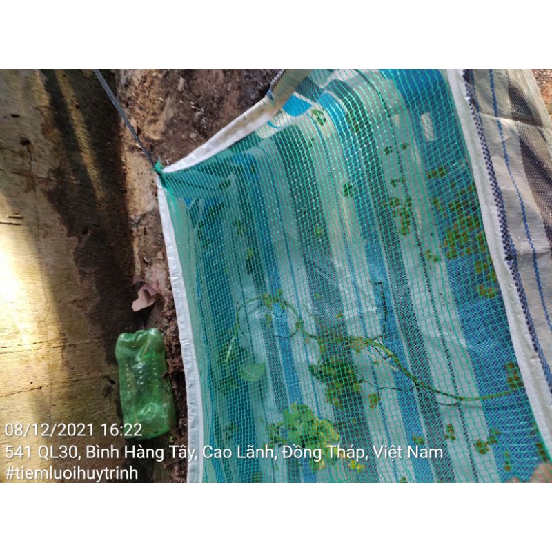 Bạc nuôi cá cảnh có nắp 50cmx50cm cao 25cm có nắp