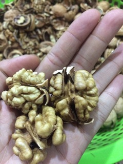 Quả óc chó