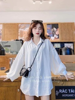 ÁO SƠ MI TRẮNG TAY BÈO