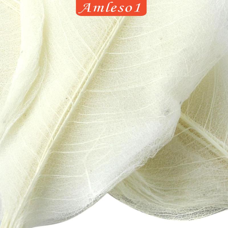 Set 50 Lá Mộc Lan Tự Nhiên Màu Trắng Amleso1 Dùng Trang Trí Sổ Tay