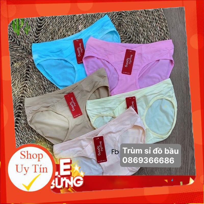 Quần lót bầu Ki An QL5765 chính hãng spring mác đỏ ko phải mác xanh☘️quần chip bầu%cotton co giãn 4 chiều kháng khuẩn