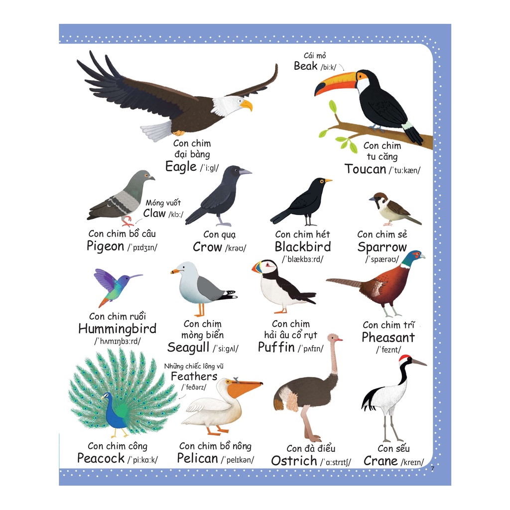 Sách Cuốn Sách Từ Vựng Đầu Tiên Của Tôi - My First Word Book- Thiên Nhiên - Nature