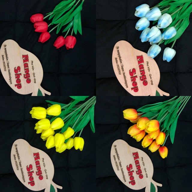 Hoa tuylip phụ kiện chụp ảnh