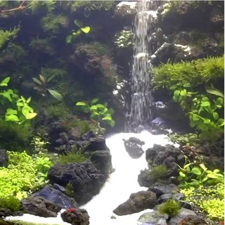 Cát trắng-cát làm thác-cát tạo nền-cát thạch anh( 1 bịch 1kg)