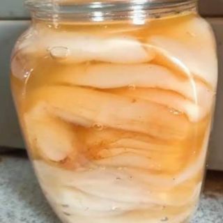 Nấm trà kombucha.