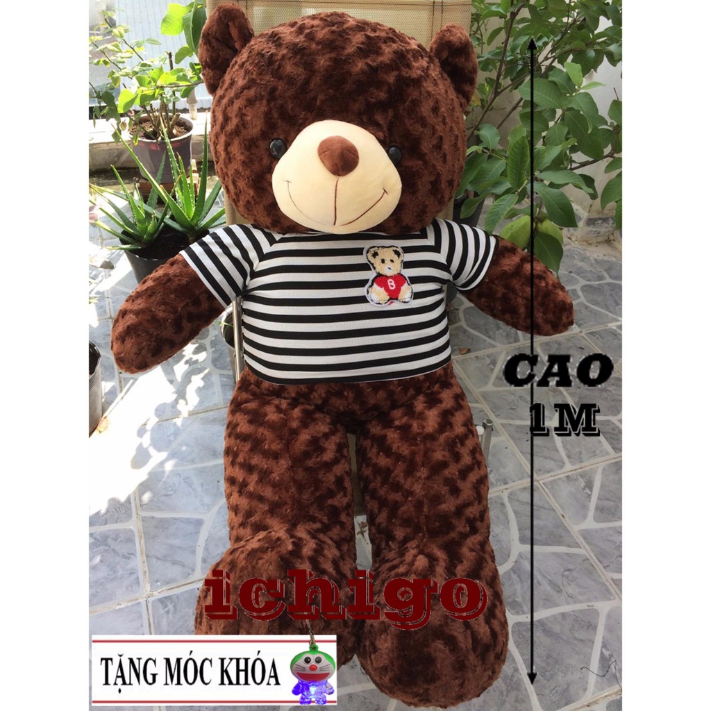 Gấu bông Teddy Cao Cấp  Cao 1m2 màu Nâu hàng Gấu Bông Gía Rẻ