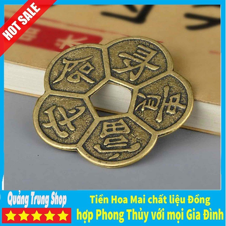 Đồng Tiền Hoa Mai ⭐FREESHIP⭐ Kim Tiền Tài Lộc | BigBuy360 - bigbuy360.vn