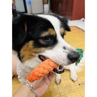 Cà rốt bện dây thừng mài răng cho thú cưng