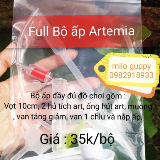 Bộ ấp artemi
