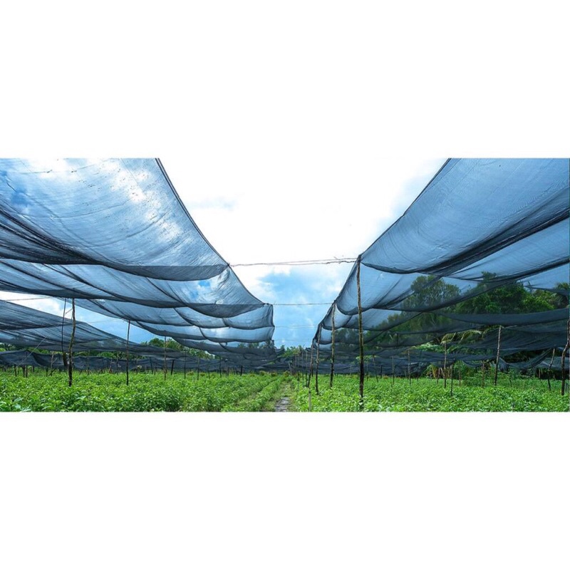 Lưới Che Nắng Thái Lan Khổ Rộng 4m có Màu Xanh hoặc Đen Che Nắng 70%, hàng sẵn kho