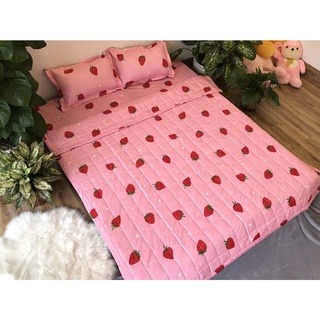 Chăn hè chần bông mỏng poly cotton