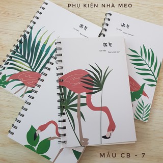 Combo 4 cuốn sổ A5 kẻ ngang