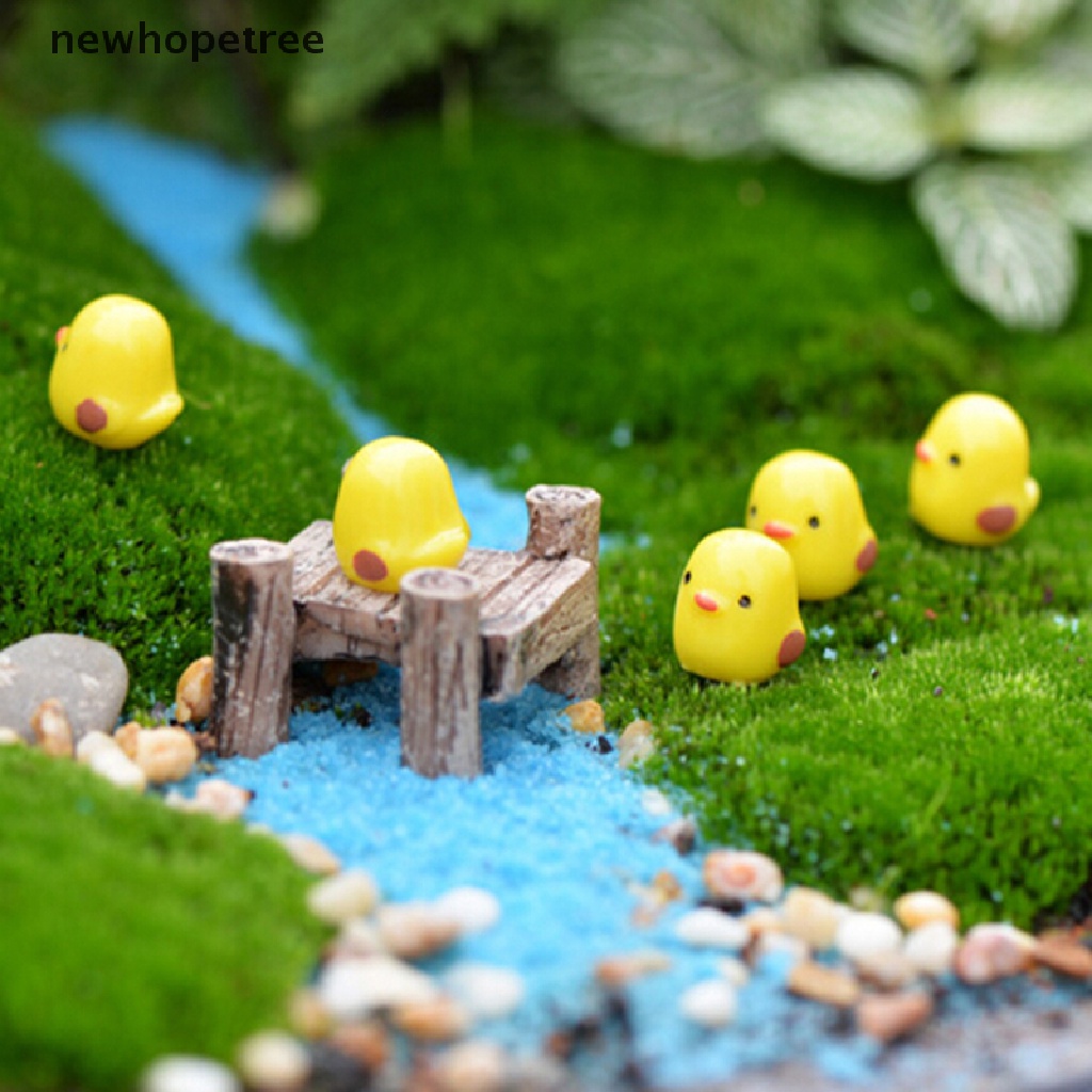 Set 5 chú gà con màu vàng mini vui nhộn dùng trang trí tiểu cảnh